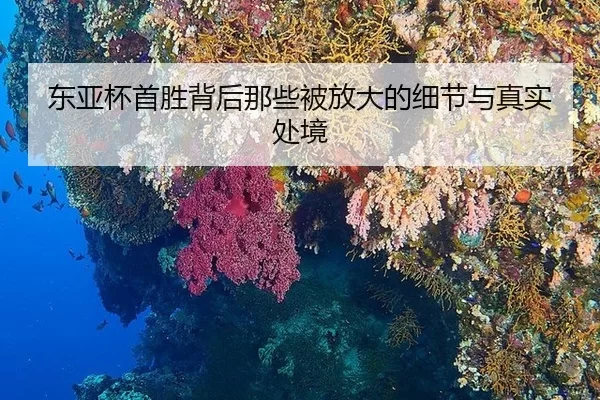 东亚杯首胜背后那些被放大的细节与真实处境